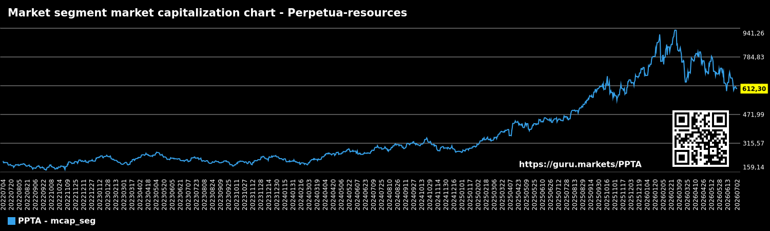 Market segment market capitalization chart - Perpetua-resources